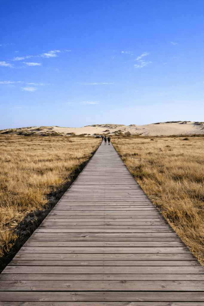 Dunas de Corrubedo. Un paisaje único de mar y desierto en Galicia.
