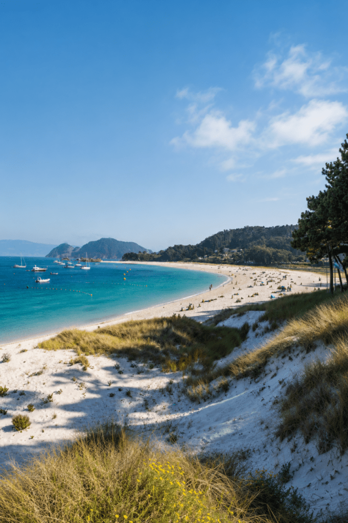 Dunas y playa de Rodas en las Islas Cíes vistas desde el sendero litoral.